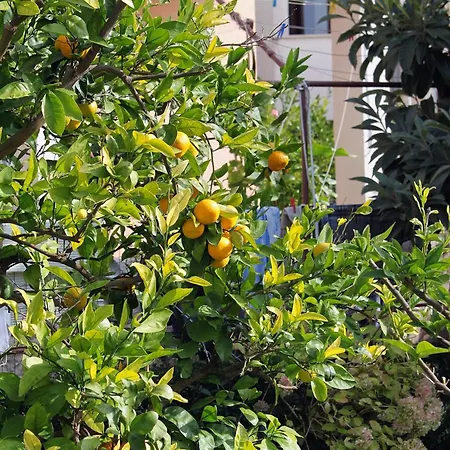 公寓 - Diklo 5880e