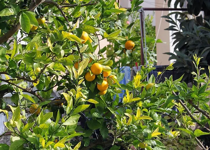 Апартаменты - Diklo 5880e